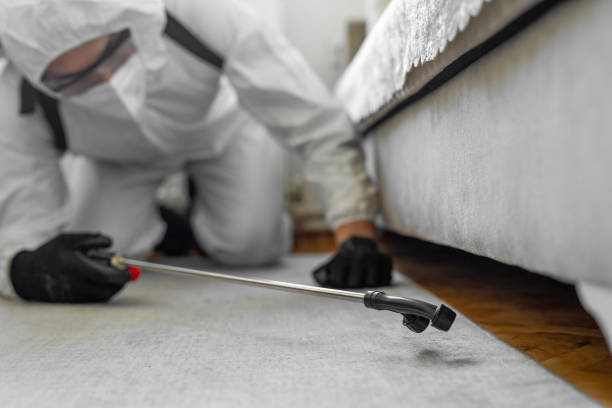 Professional Termite Control technician working in Pine Bluffs, WY