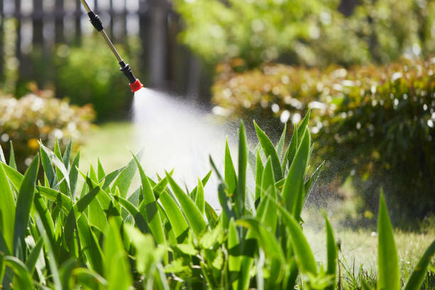 24/7 Emergency Termite Control experts in Pine Bluffs, WY
